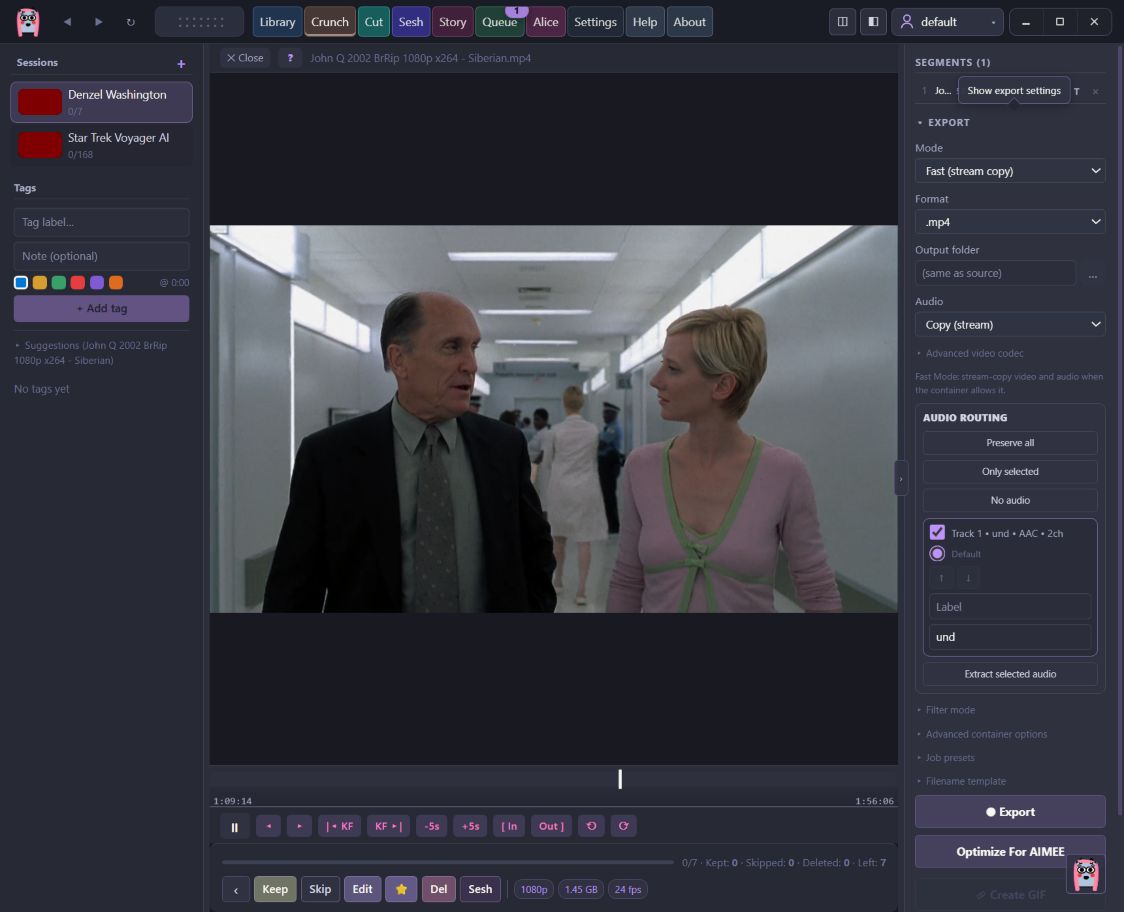AIMEE Curate review with export settings