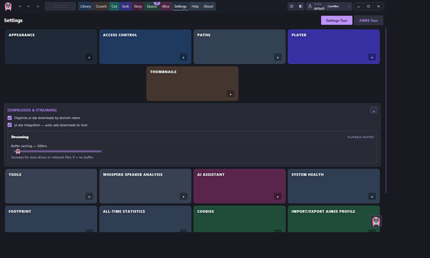 AIMEE Downloads and Streaming settings expanded