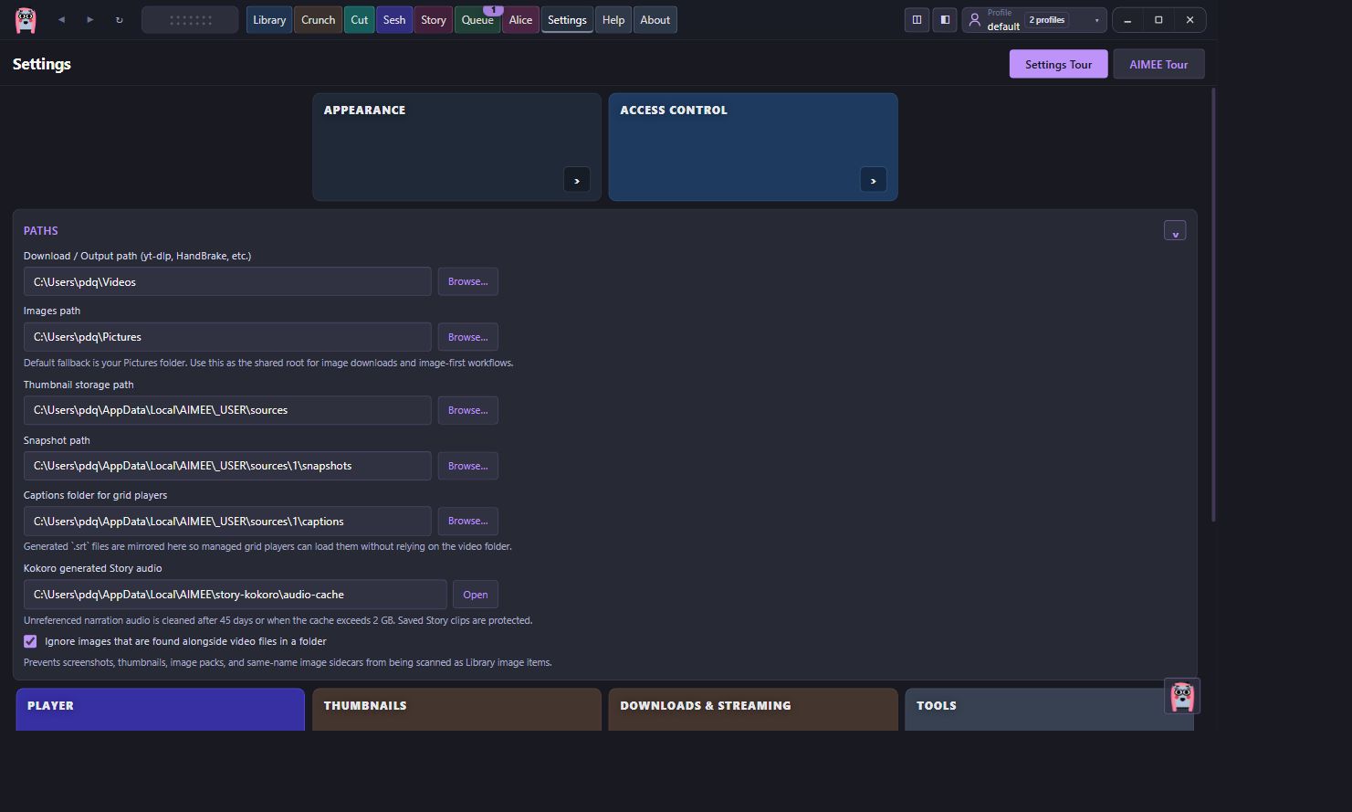AIMEE Paths settings expanded