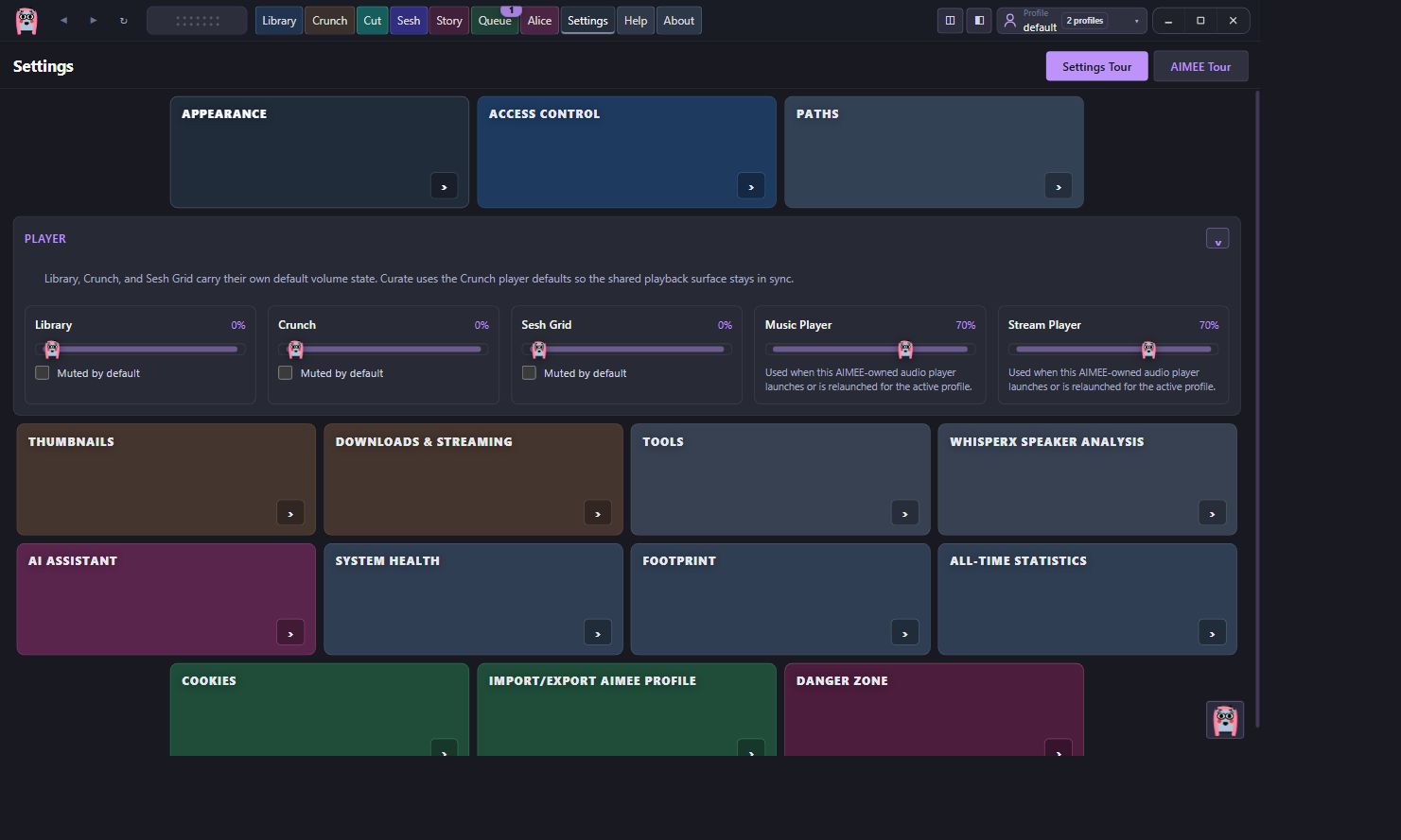 AIMEE Player settings expanded
